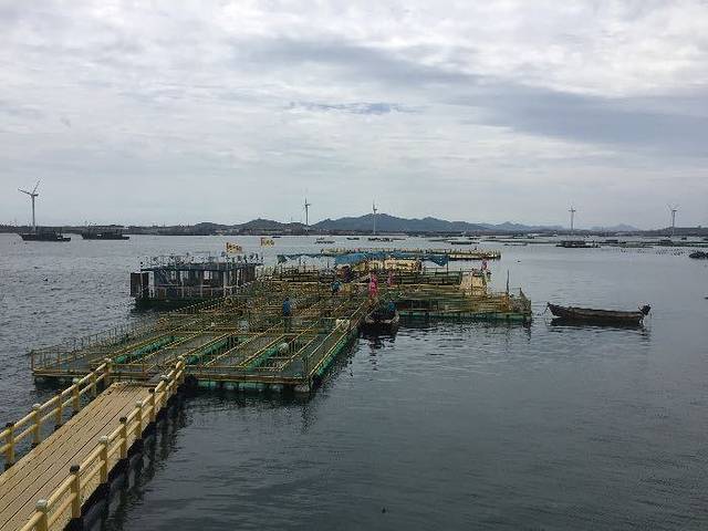 桑沟湾海洋牧场