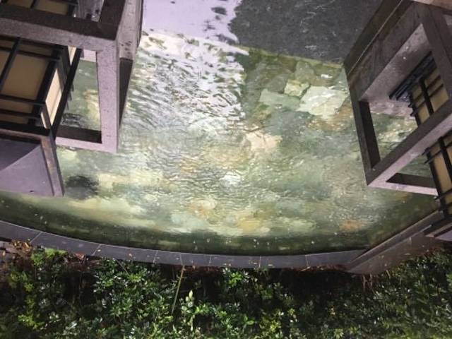 旗山森林温泉度假村