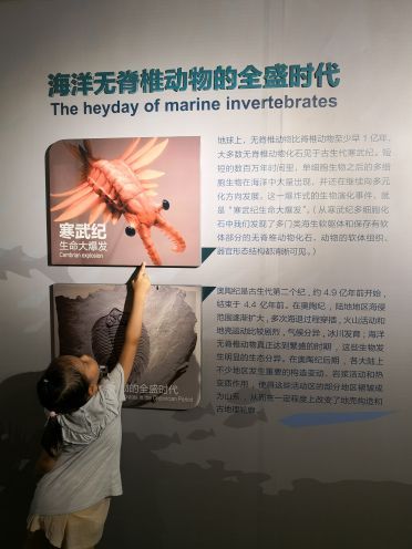 贝林自然博物馆