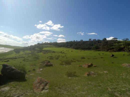 达里湖北岸景区