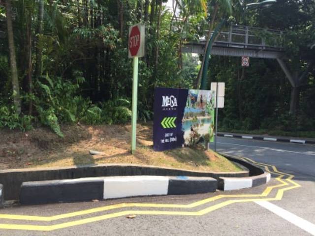 圣淘沙飞龙探险乐园