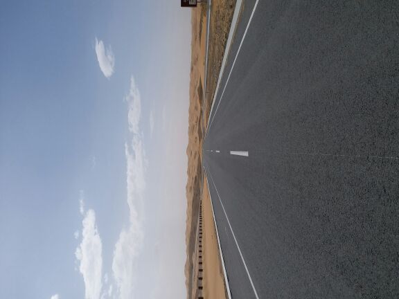 腾格里沙漠天鹅湖