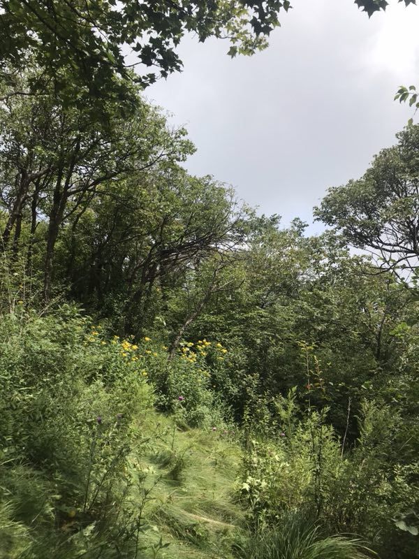 历山舜王坪景区