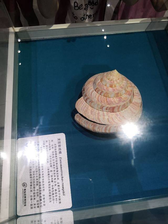 青岛贝壳博物馆