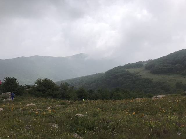 历山舜王坪景区