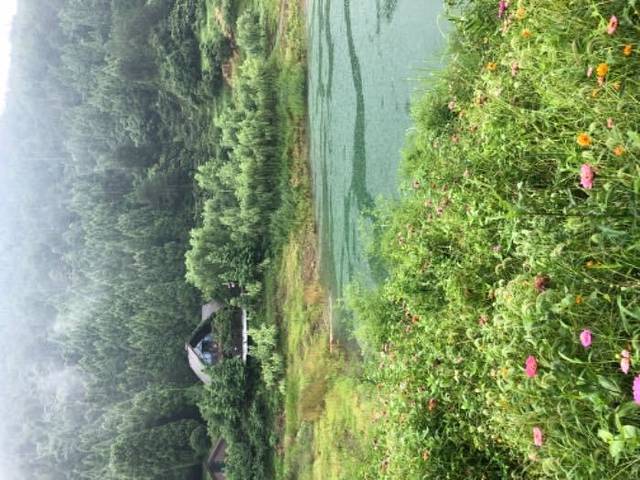 千岛湖进贤湾休闲观光豪华游艇