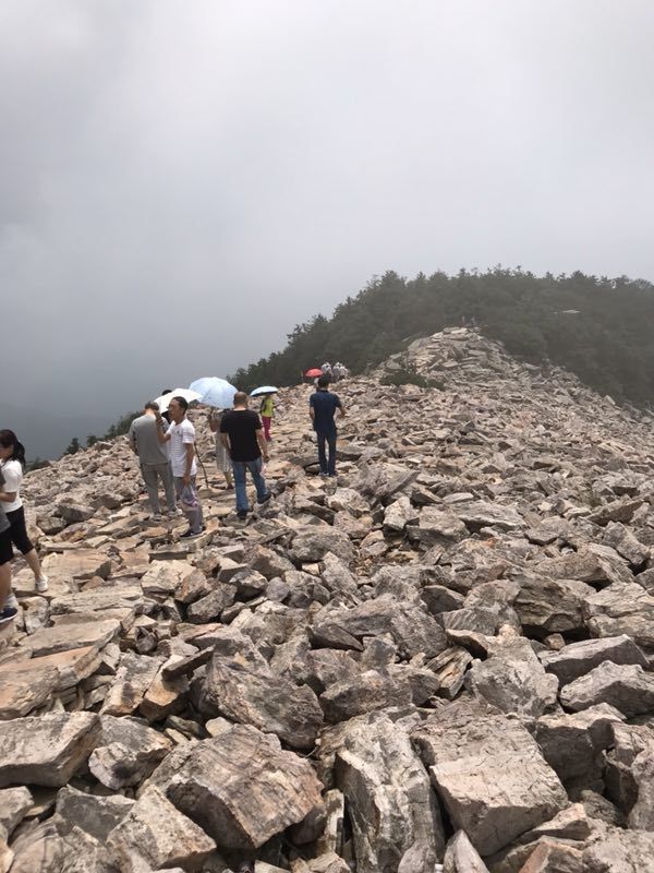 历山舜王坪景区
