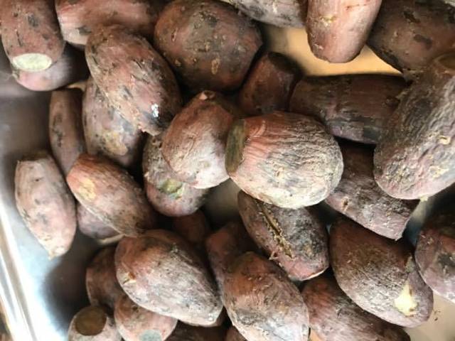 河源御临门温泉度假村