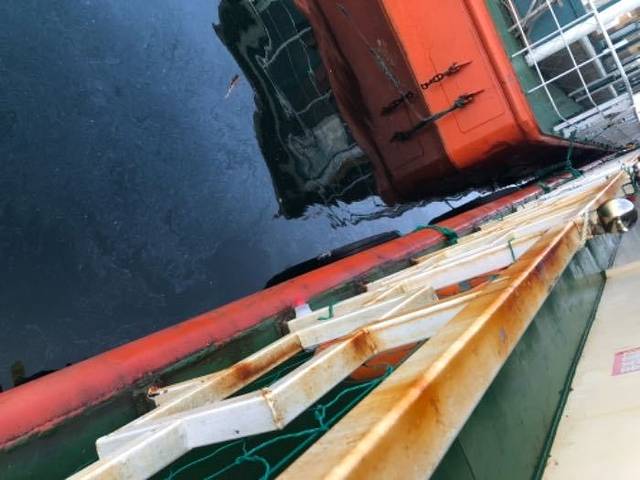 桑沟湾海洋牧场