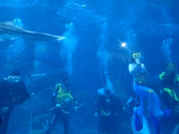 女儿城海洋公园