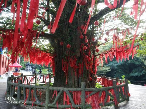 大熊山国家森林公园