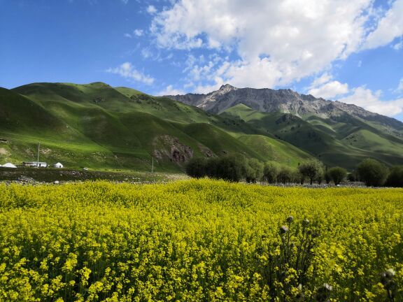 和静县班禅沟景区