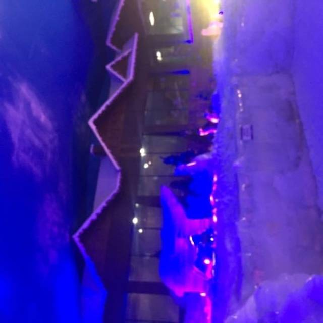 阿尔卑斯山滑雪场