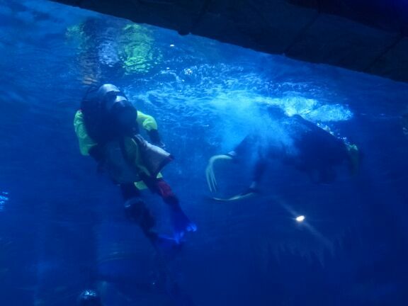 女儿城海洋公园