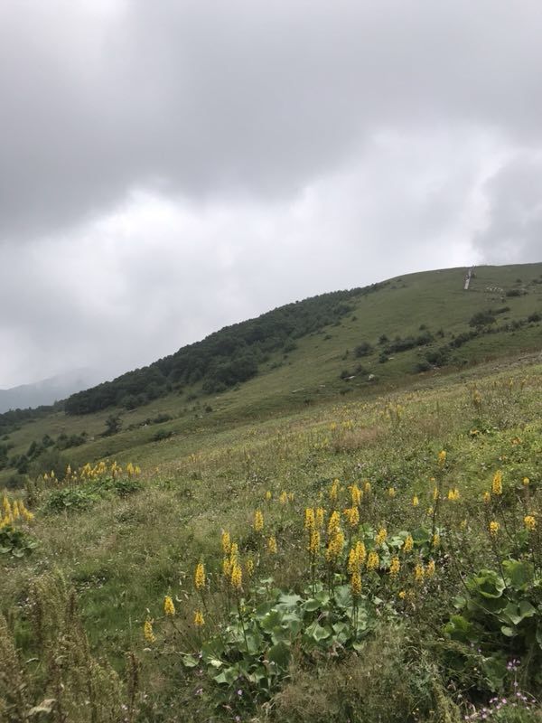 历山舜王坪景区