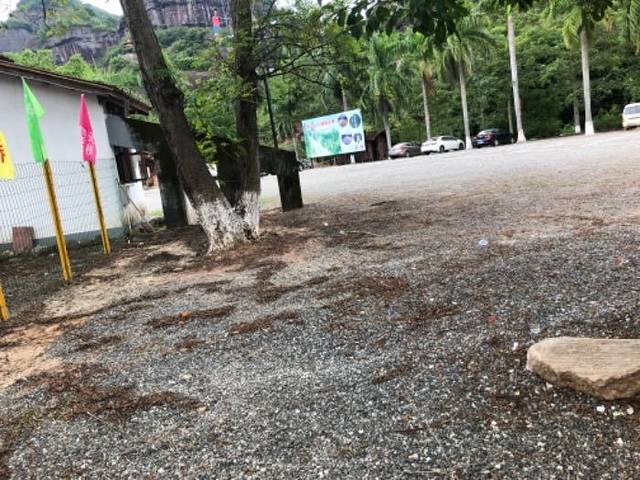 河源越王山风景区