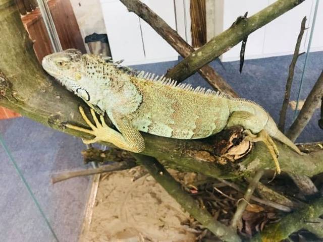 世界昆虫博物园