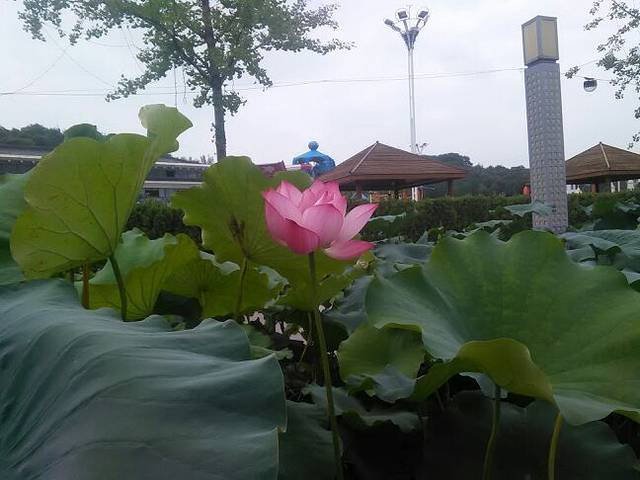 刘洪文化园海浪谷