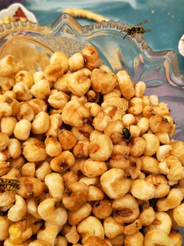 哈萨克民俗风情园