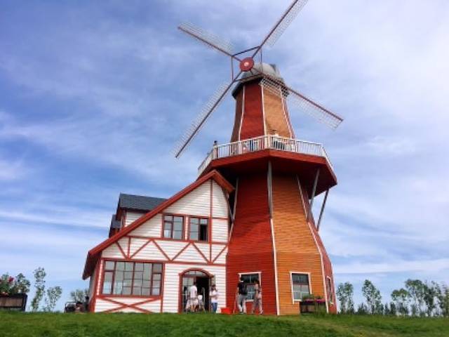 普罗旺斯薰衣草庄园