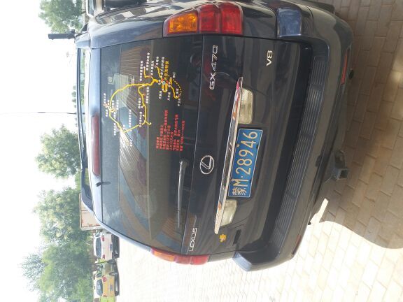 腾格里沙漠天鹅湖