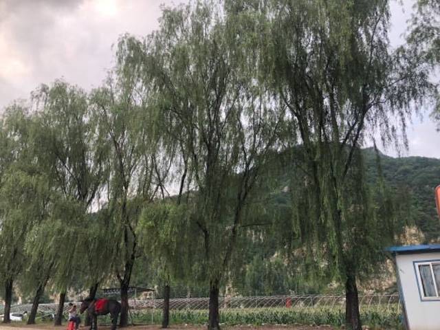 大连天门峡漂流