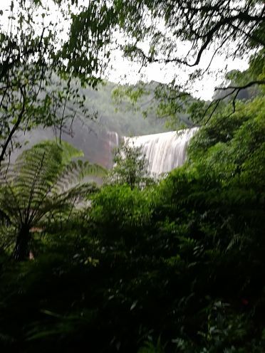 丹青赤水第九景区赤水游客中心