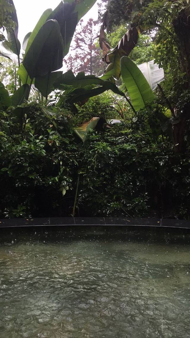 旗山森林温泉度假村