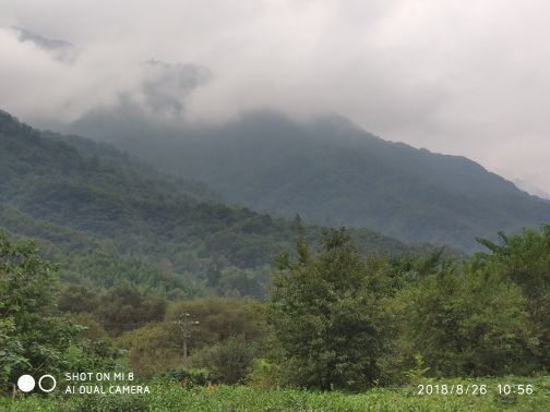 阳坝自然风景区