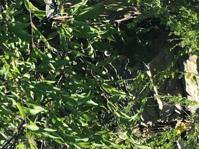 八大处富斯特索·滑道