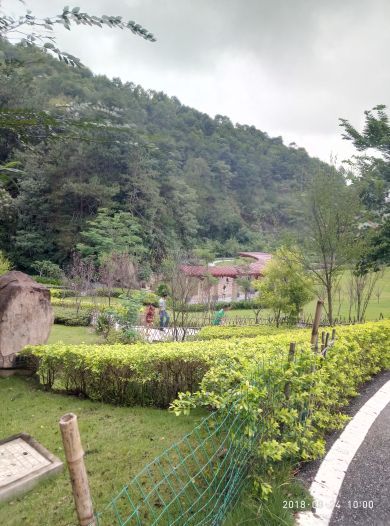 广东神光山国家森林公园