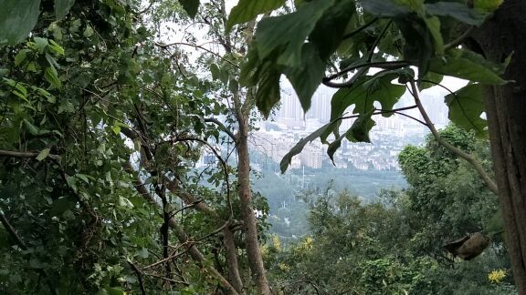 大蜀山国家森林公园