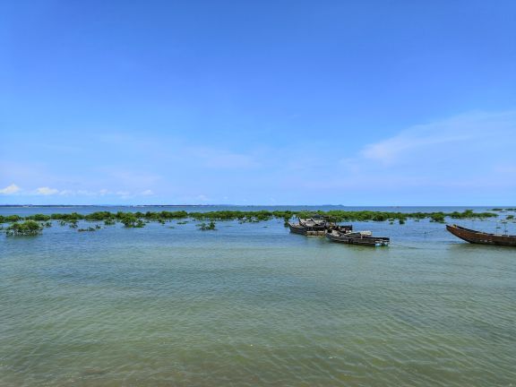 大清国钦州界五号界碑