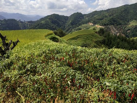 摆贝苗寨旅游景点攻略图