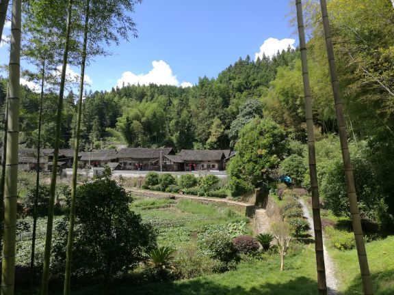 抗战古村阳雀坡