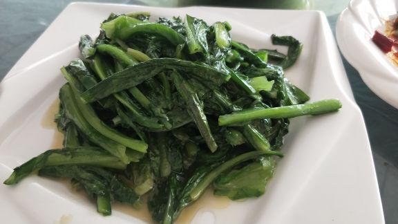 哈巴湖生态旅游区