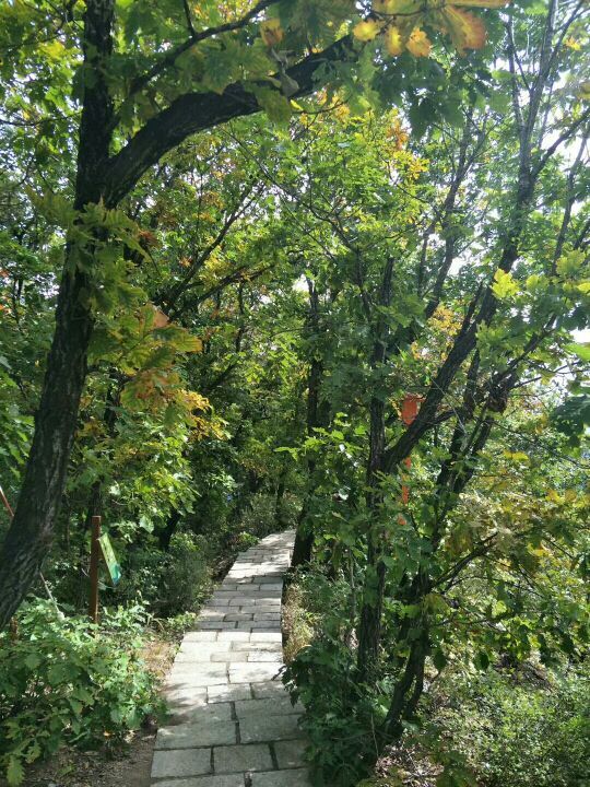 八仙山自然保护区