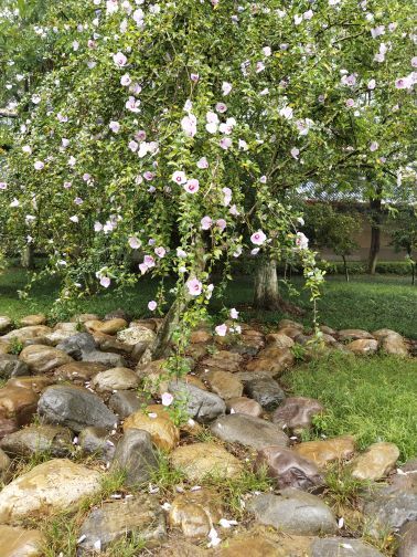 常德诗墙博物馆