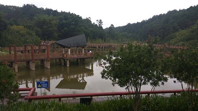 广东神光山国家森林公园