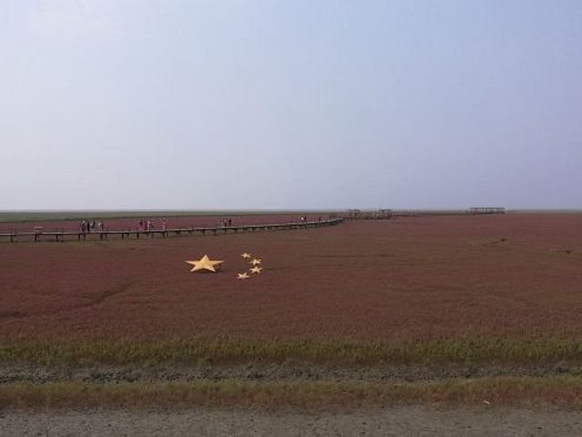 "_红海滩国家风景廊道"的评论图片