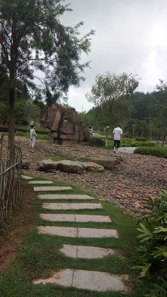 广东神光山国家森林公园