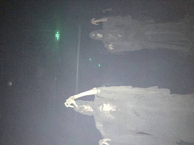 兖州兴隆文化园