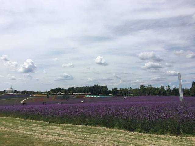 普罗旺斯薰衣草庄园