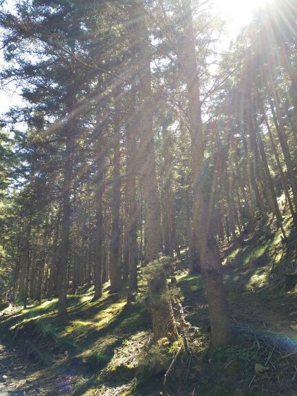 贺兰山广宗寺（南寺）生态旅游区