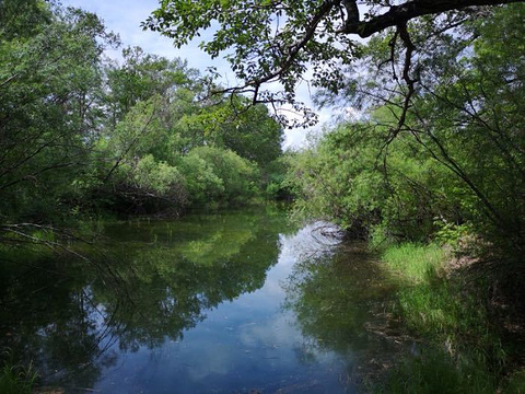 额尔古纳国家湿地公园旅游景点攻略图