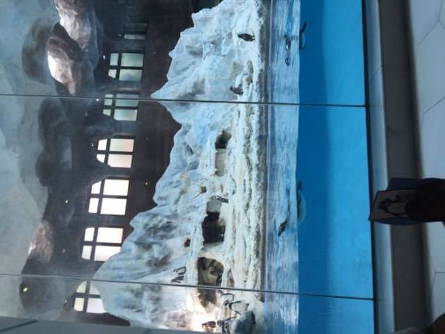 珠海长隆企鹅酒店自助餐厅