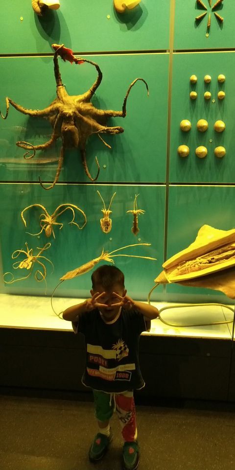 天津自然博物馆