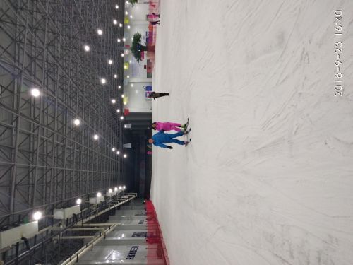 三只熊冰雪王国