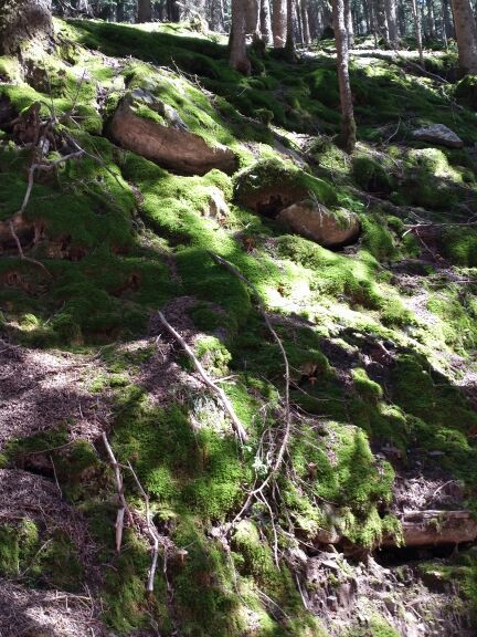 贺兰山广宗寺（南寺）生态旅游区