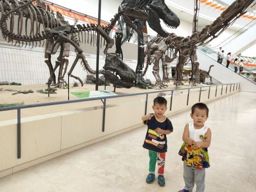 天津自然博物馆